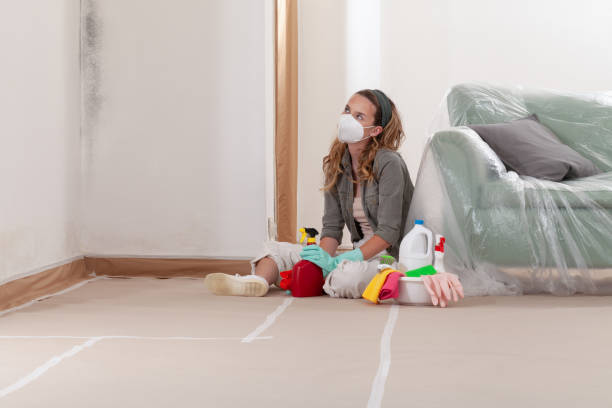 Reliable Black Mold Removal contractor in Plano, KY by WQB Mold Removal